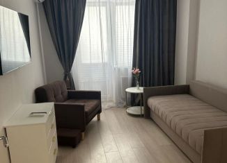 Сдается в аренду 1-комнатная квартира, 37 м2, Ростов-на-Дону, Горсоветская улица, 49/2