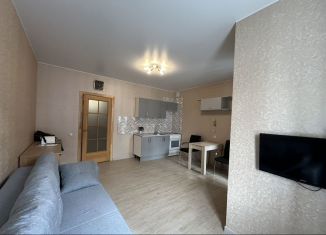 Сдам в аренду квартиру студию, 33 м2, деревня Марьино, Жемчужная улица, 1к9