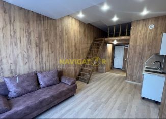 Сдача в аренду 1-ком. квартиры, 23 м2, Республика Башкортостан, улица Генерала Кусимова, 17