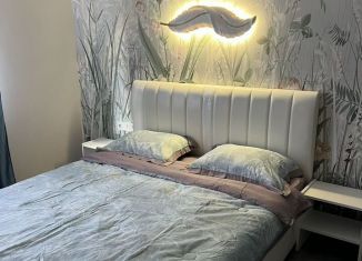 Сдача в аренду 1-комнатной квартиры, 60 м2, Тверь, улица Марии Ульяновой, 42