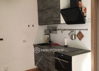 Сдача в аренду квартиры студии, 26 м2, Санкт-Петербург, Советский проспект, 14, ЖК Живи в Рыбацком