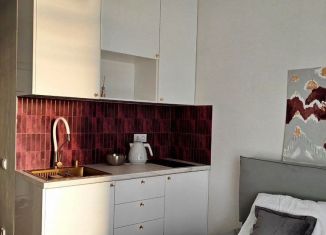 Квартира в аренду студия, 18 м2, Сочи, Ясногорская улица, 16/2к8