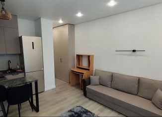 Квартира в аренду студия, 25 м2, Ростов-на-Дону, проспект Соколова, 68/118Вс2