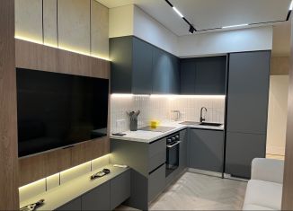 Сдам в аренду 1-ком. квартиру, 46 м2, Сочи, переулок Трунова, 6к6, микрорайон Завокзальный