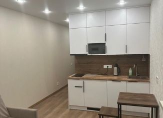 Сдам квартиру студию, 25 м2, Сочи, улица Искры, 88к3, микрорайон Кудепста