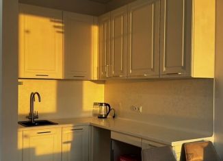 Сдаю в аренду 1-ком. квартиру, 34.3 м2, Москва, Любучанский переулок, 1к3