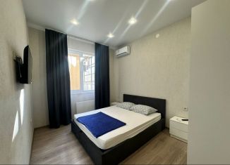 Сдам 1-комнатную квартиру, 34 м2, Сириус, улица Фиалок, 21