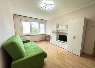 Сдаю однокомнатную квартиру, 34 м2, Санкт-Петербург, улица Добровольцев, 54, метро Проспект Ветеранов