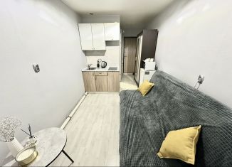 Сдам в аренду квартиру студию, 16 м2, Санкт-Петербург, 11-я линия Васильевского острова, 58