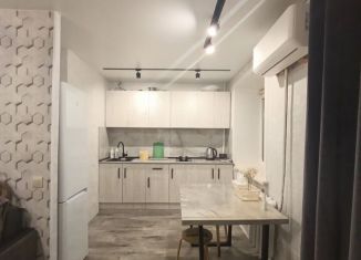 Сдам в аренду однокомнатную квартиру, 44.2 м2, Хабаровск, улица Олега Кошевого, 7