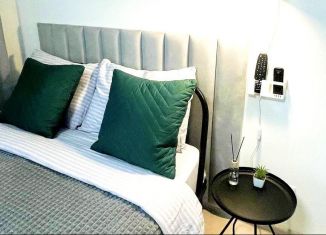 Сдается в аренду квартира студия, 21 м2, Санкт-Петербург, Славянская улица, 8, ЖК Живи в Рыбацком