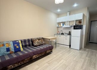 Сдаю в аренду квартиру студию, 25 м2, Тюмень, улица Тимофея Чаркова, 28, ЖК Новый Мыс 3.0