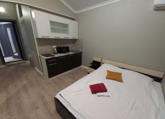 Квартира в аренду студия, 18.2 м2, Москва, Гостиничный проезд, 8к1, район Марфино