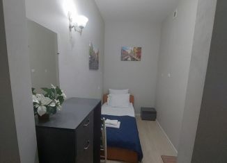 Сдам в аренду квартиру студию, 17 м2, Санкт-Петербург, Коломенская улица, 14, метро Достоевская