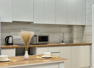 Сдается в аренду 1-ком. квартира, 40 м2, Ростов-на-Дону, 2-я Краснодарская улица, 169Бс2