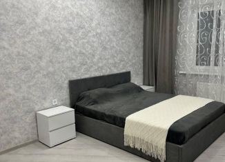 1-ком. квартира в аренду, 40 м2, Краснодар, Круговая улица, 4Вк2, Фестивальный микрорайон