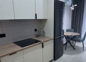 Сдаю 1-ком. квартиру, 45 м2, Ростов-на-Дону, Красноармейская улица, 157В/83с2