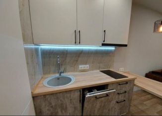 Сдается 1-ком. квартира, 44 м2, Новосибирск, улица Владимира Заровного, 24, Октябрьский район