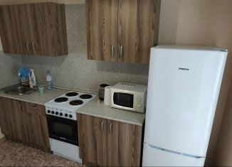 Сдаю в аренду 1-ком. квартиру, 45 м2, Республика Башкортостан, улица Энтузиастов, 13