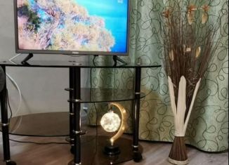 Сдается однокомнатная квартира, 42 м2, Оренбургская область, Слесарный переулок, 7