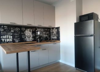 Сдаю в аренду квартиру студию, 24 м2, Мурино, проспект Авиаторов Балтики, 29к2, ЖК Авиатор