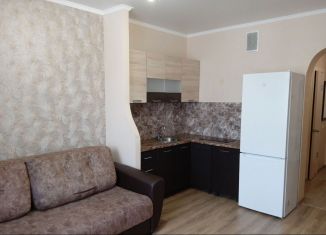 Сдается квартира студия, 28 м2, село Засечное, Радужная улица, 8