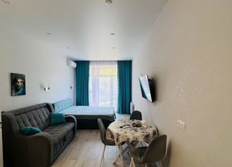 Сдается в аренду квартира студия, 29.9 м2, посёлок городского типа Дагомыс, Батумское шоссе