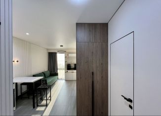 Сдам 1-комнатную квартиру, 30 м2, Сочи, Курортный проспект, 96Гк2