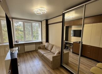 Сдаю квартиру студию, 17 м2, Москва, Минусинская улица, 11, метро Бабушкинская