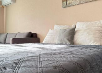 Сдаю квартиру студию, 25 м2, Ростов-на-Дону, улица Содружества, 66/110