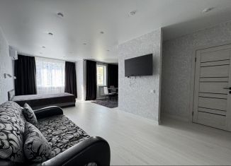 Сдаю в аренду квартиру студию, 44 м2, Саратов, Крайняя улица, 87А