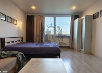 Аренда 1-комнатной квартиры, 33 м2, Санкт-Петербург, Загребский бульвар, 27/16, метро Проспект Славы