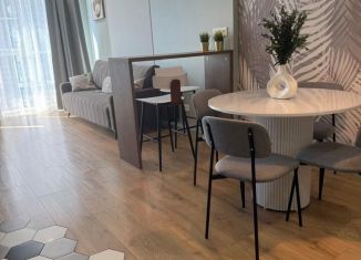 Аренда однокомнатной квартиры, 48 м2, Сочи, Крымская улица, 89, микрорайон Мамайка