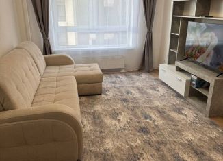 Сдача в аренду 1-комнатной квартиры, 38.7 м2, Москва, Амурская улица, 1к1