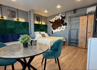 Сдам квартиру студию, 25 м2, Ростов-на-Дону, улица Содружества, 66/110