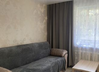 Сдача в аренду однокомнатной квартиры, 30 м2, Череповец, проспект Победы, 190