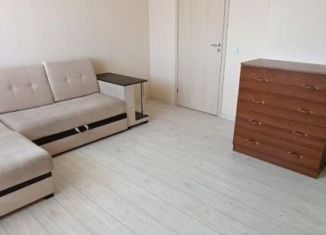 Сдам квартиру студию, 25 м2, Новосибирск, микрорайон Закаменский, 12, Октябрьский район