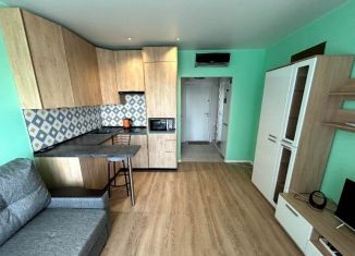 Сдаю однокомнатную квартиру, 23 м2, Москва, квартал № 100, 1к3