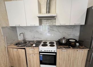 Сдаю в аренду однокомнатную квартиру, 55 м2, Сочи, Яблочная улица, 25