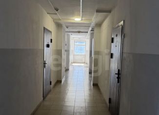 Квартира в аренду студия, 27 м2, Горно-Алтайск, Набережная улица, 6