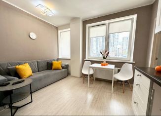 Сдам однокомнатную квартиру, 50 м2, Свердловская область, улица Чайковского, 66А