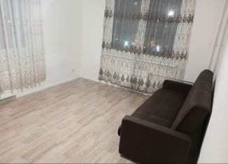 Сдам в аренду 2-ком. квартиру, 52 м2, Санкт-Петербург, Пискарёвский проспект, 165к1