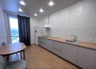 Сдам в аренду однокомнатную квартиру, 42 м2, Омская область, улица 70 лет Октября, 3