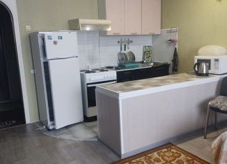 Сдача в аренду квартиры студии, 34 м2, Новосибирск, Плющихинская улица, 3, Октябрьский район