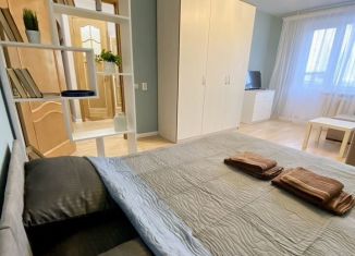 Сдаю в аренду 1-комнатную квартиру, 40 м2, Смоленск, переулок Юннатов, 1, Ленинский район