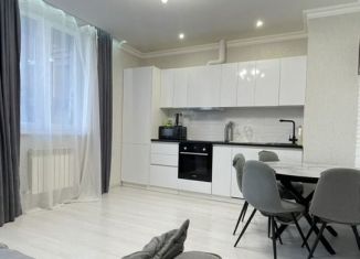 Сдача в аренду однокомнатной квартиры, 48 м2, Сочи, переулок Трунова, 6к2, микрорайон Завокзальный