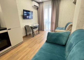 Сдаю в аренду квартиру студию, 28 м2, Сочи, переулок Горького, 24