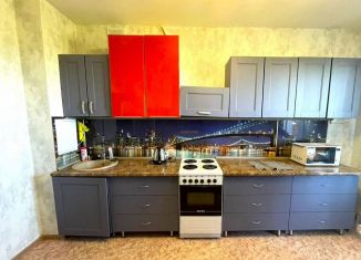 Сдача в аренду квартиры студии, 50 м2, Республика Башкортостан, улица Комарова, 8