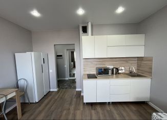 Сдам в аренду квартиру студию, 23.8 м2, Краснодар, Российская улица, 257/7, Музыкальный микрорайон