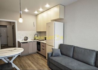 Сдам в аренду двухкомнатную квартиру, 38 м2, Республика Башкортостан, улица Николая Ковалёва, 1